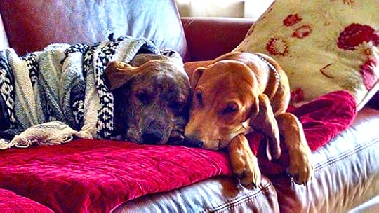 Snuggle-N-Snooze