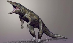 A computer generated reconstruction of the crocodile ancestor Carnufex carolinensis which lived on land and walked on two legs and may have been a top predator before dinosaurs took over the world, scientists believe.