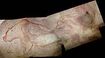 chauvet brunel bears