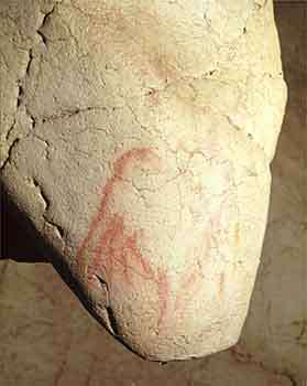 chauvet cactus mammoth