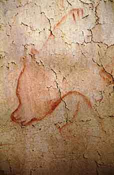 chauvet cactus red bear