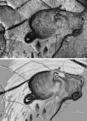 chauvet cavelionstumping