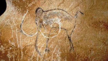 chauvet sacristy mammoth