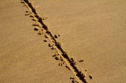 A line in the sand can be a ditch or a design; it's up to you.