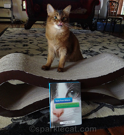 I told her the treats were downstairs