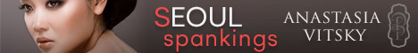 Seoul Spankings book banner