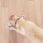 Solo centomila regali e basta