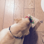 Koi ci sono altri regaliiii! Vieniiiii