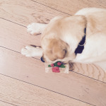 L'impazienza parte 2