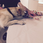 Ma anche questi sono miei?