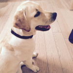 L'impazienza parte mille