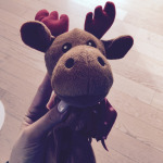 Il plaid di Koi si chiude con questo cosino