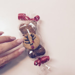 Biscottini per Koi !