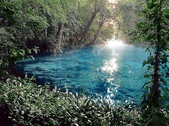 Ginnie springs florida