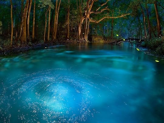 Ichetucknee florida fireflies