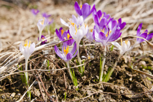 March 6