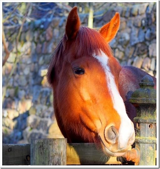 31 March 12 2444x2587