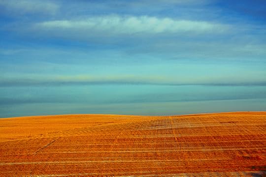 5247417419_078ac9fa19_z