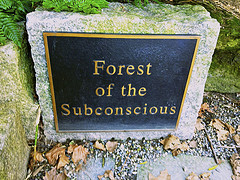 Forest of the Subconscious by nme421, on Flickr