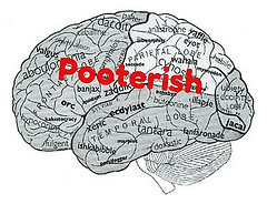 brain words