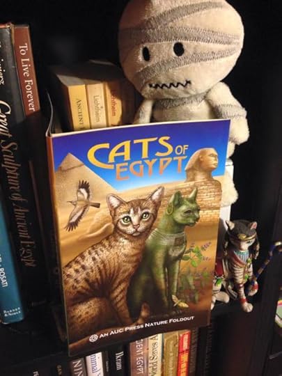 19214_689879801139375_6889214044096653320_n