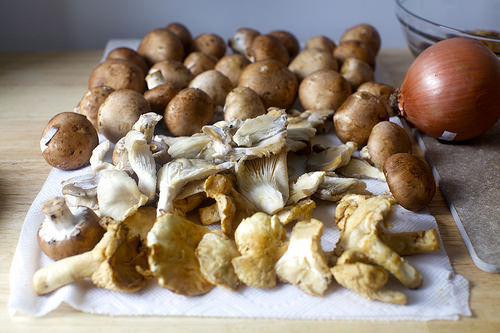 creminis, oyster, chanterelle and porcini