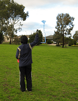 Make your own kite