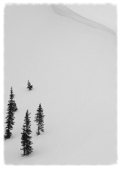  photo e4290fff-2c1d-4129-8ee6-4c5c80da2bfc_zpsa6e0jbcj.jpg