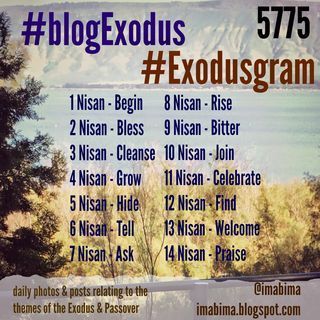 Blogexodus5775