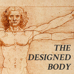 the-designed-body4.jpg