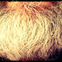 cornered beard
