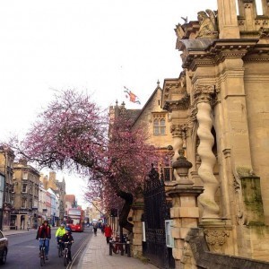 High street pink