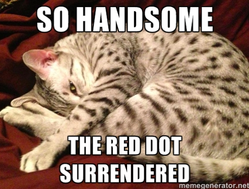 Odin The Ridiculously Handsome Cat