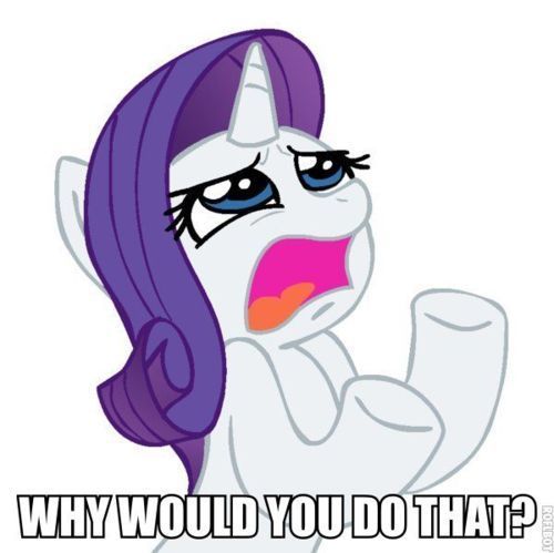 why gif photo: why tumblr_li9b75RPjj1qafrh6.jpg