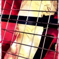 caged angel filter