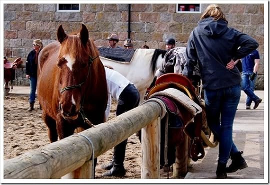 1 April C5 4258x2853