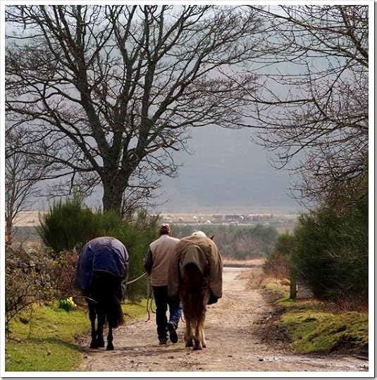 1 April R56 3447x3477