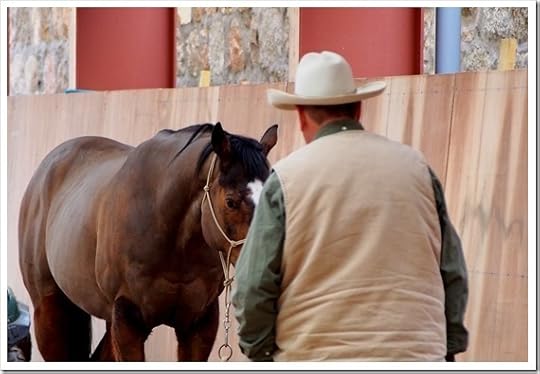 1 April R75 4048x2762