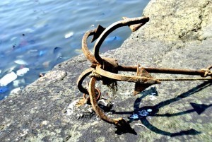 anchor