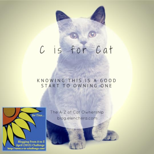 A-Z of Cats: C is for Cat