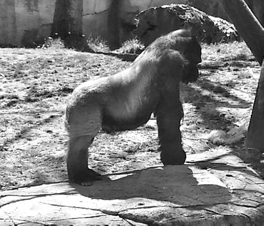 20150330_140350_1