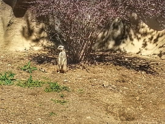 20150330_143604_1
