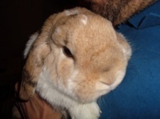  photo hugsA_zpsa6u3geen.jpg