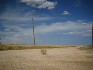 800px-Tumbleweed_rolling
