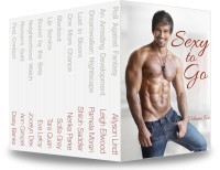 SexyToGo_3DCover_small