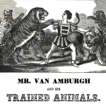 From: An Illustrated History and Full and Accurate Description of the Wild Beasts and Other Interesting Specimens of Animated Nature, Contained in the Grand Caravan of Van Amburgh & Co.