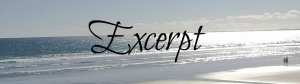 Excerpt banner