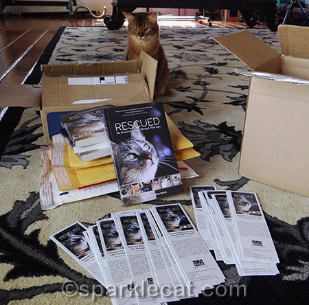 I bet if she looks harder, she can find a smaller box and let me have this one!
