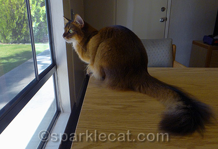I love watching new birdies!