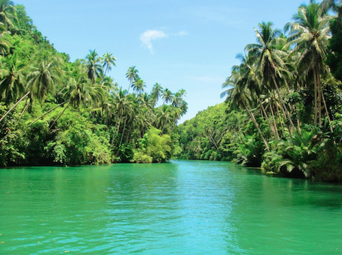Loboc_river.png